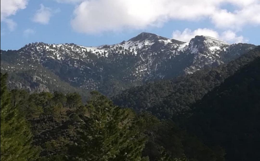 Casa Rural La Piedra Del Cambron Villaverde De Guadalimar Kültér fotó